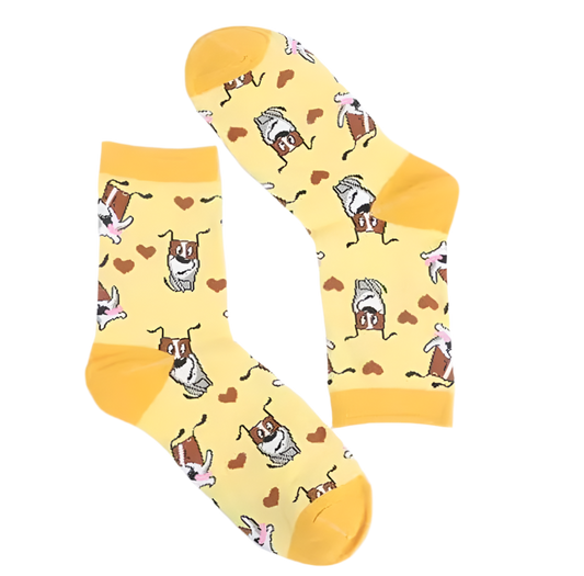 chaussettes jaunes chien c ur cartoon mrcol