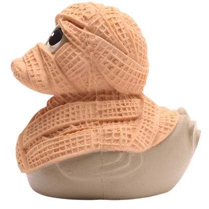 Canard Momie