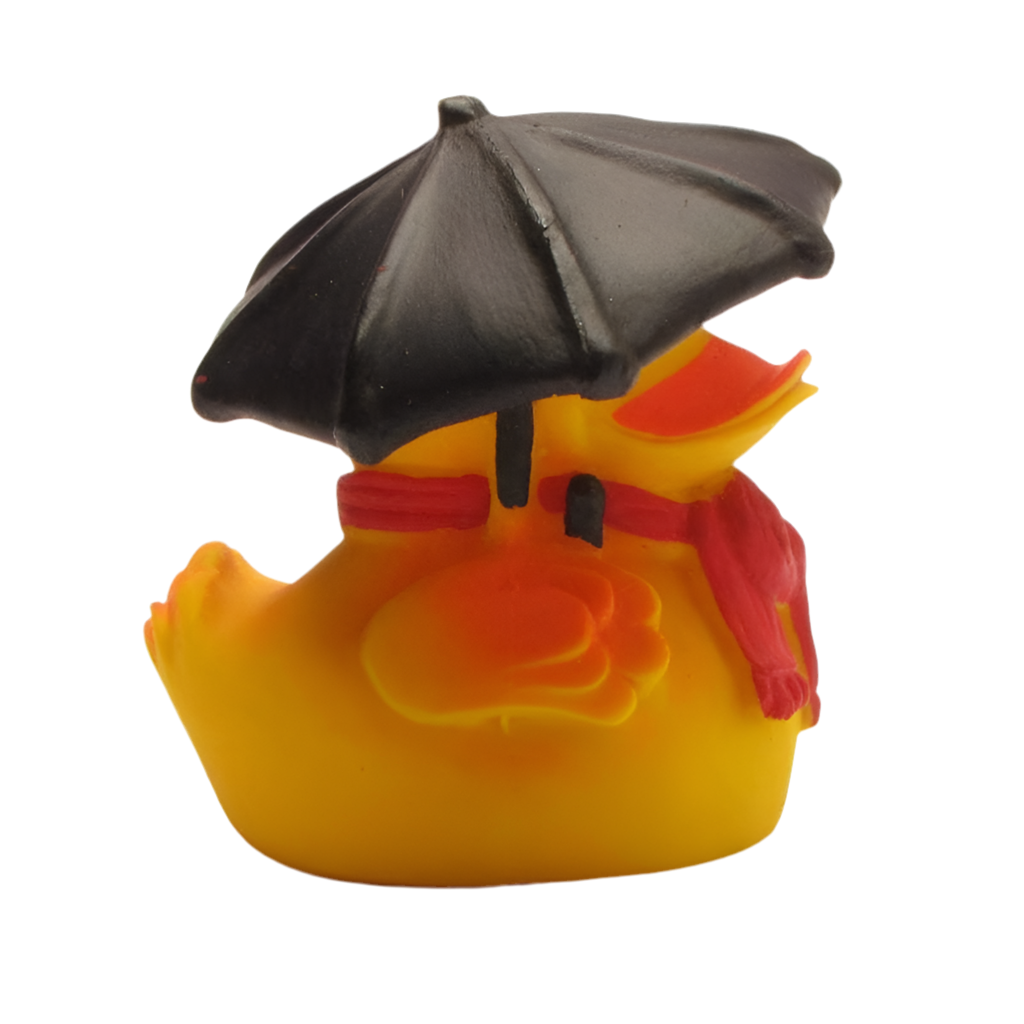 Rainy Weather Duck