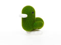 Enten-Sparschwein Rasen