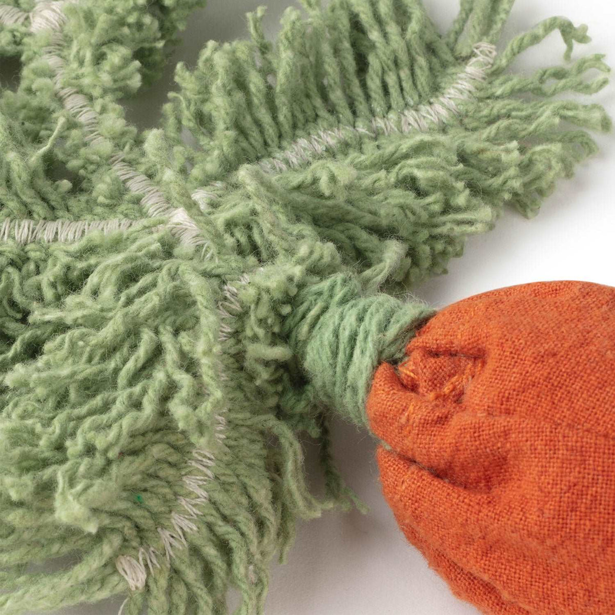 DIY Cathy the Carrot