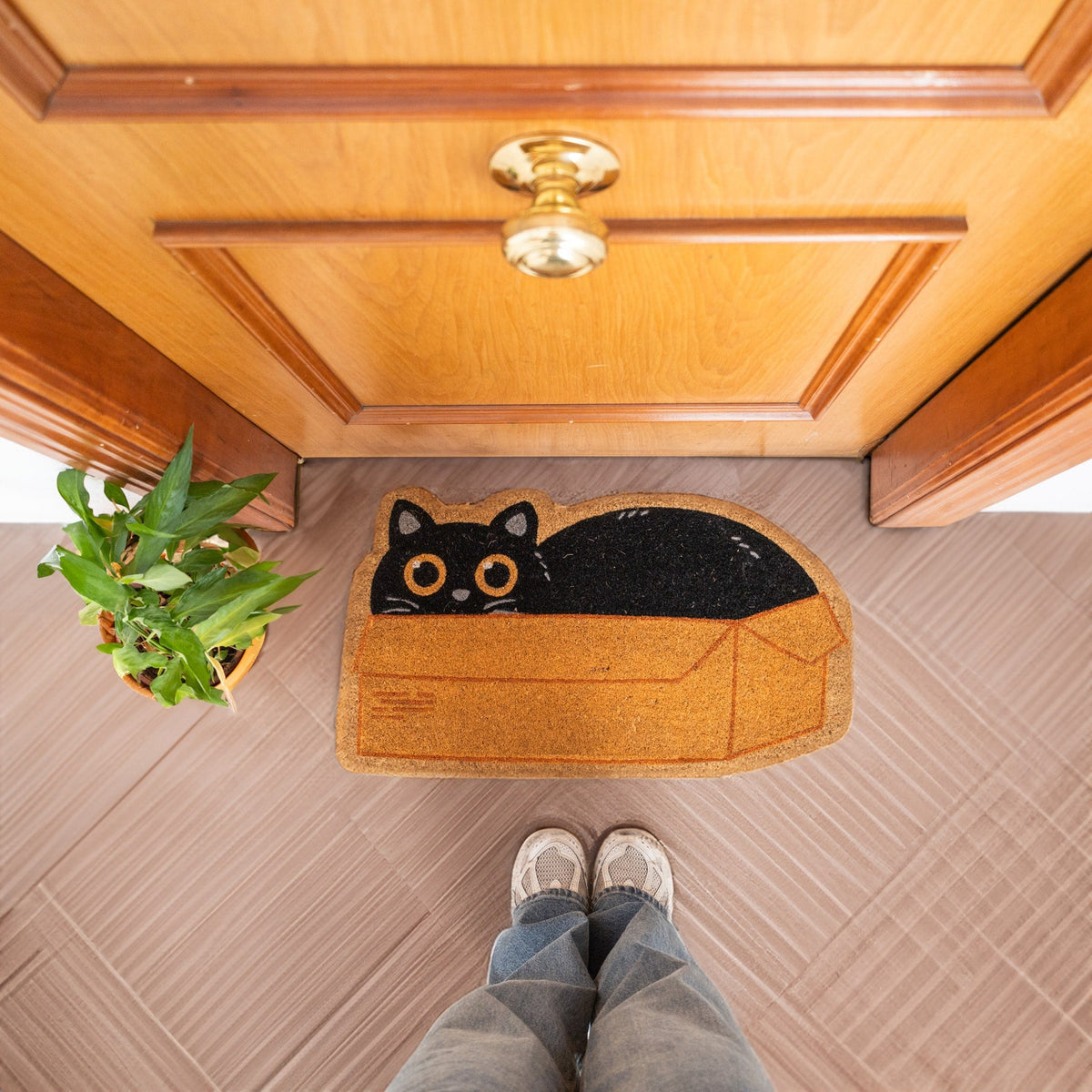 Paillasson Panier Chat
