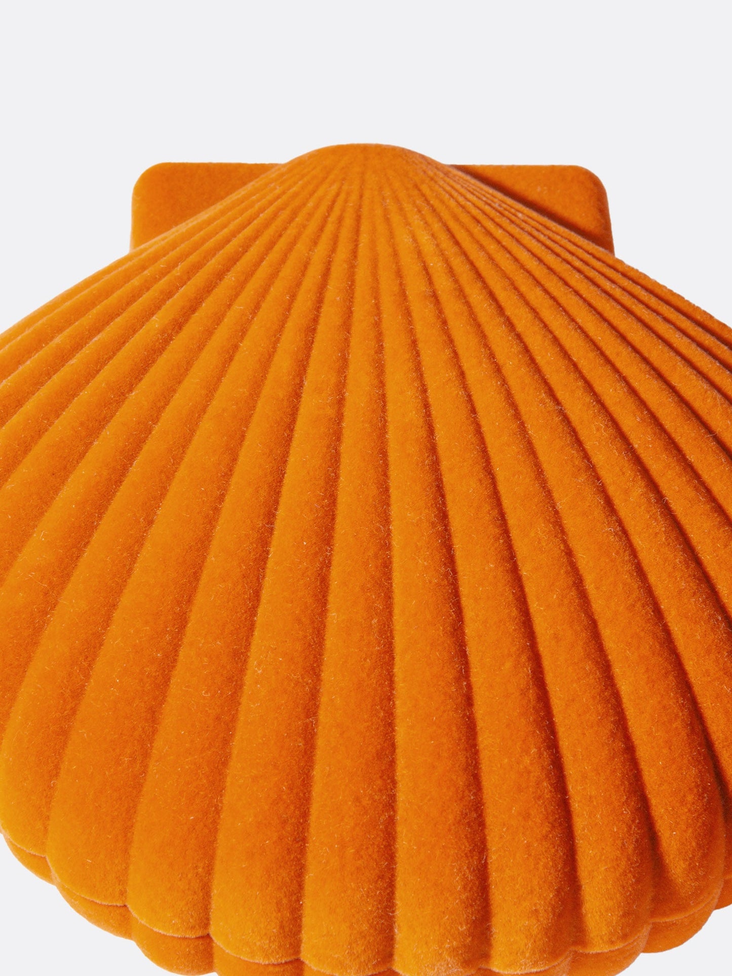 Venus Storage Box Orange