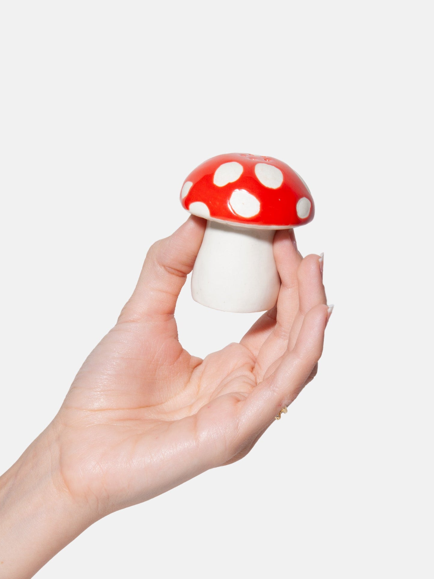 Salt and pepper Amanita