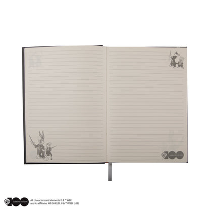 *Set Carnet et Stylo Deluxe Looney Tunes à Poudlard