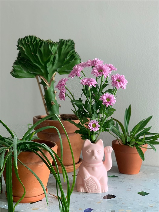 Diffusore di fragranza Lucky Cat Pink