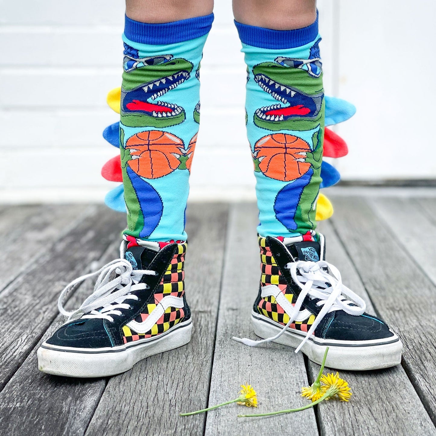 CHAUSSETTES DINOSAURE