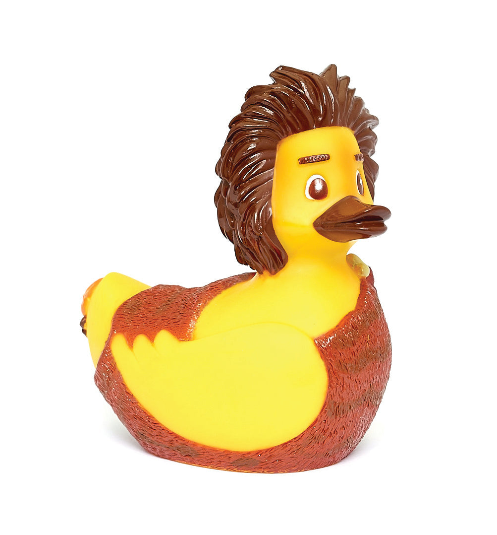 Neanderthal duck