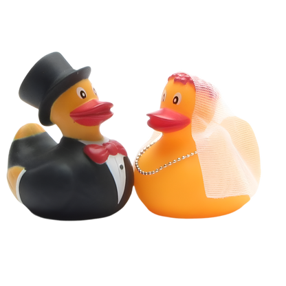 Married Duckling Couple