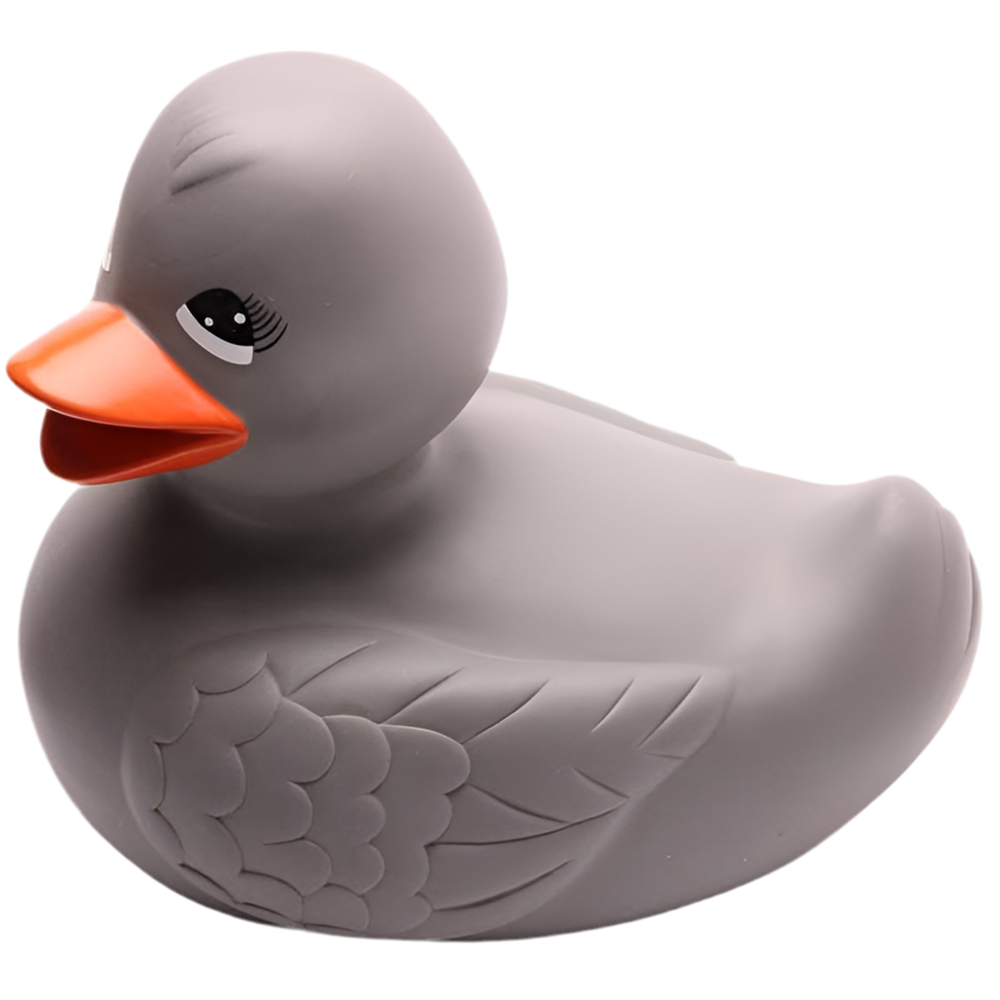 Canard XXL Gris