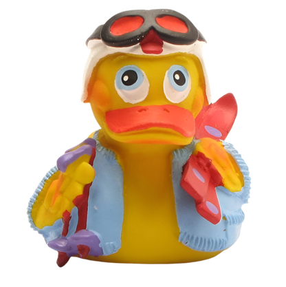 Skiing Duck