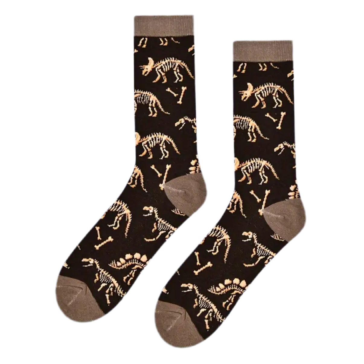 Chaussettes Fossiles de Dinosaures