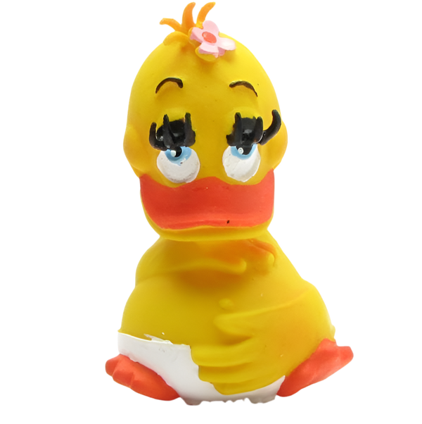 Pregnant Duck