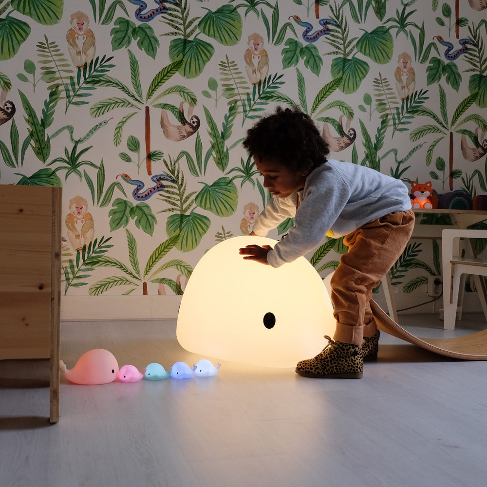Mini Luce Notturna Baleine Moby