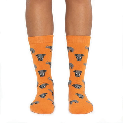 Chaussettes « Éléphants » - Chulé
