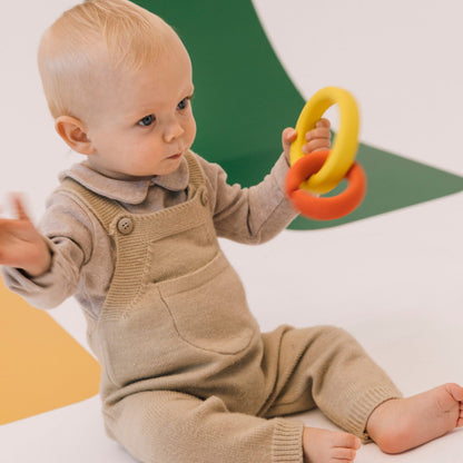 The Evolutive Toy