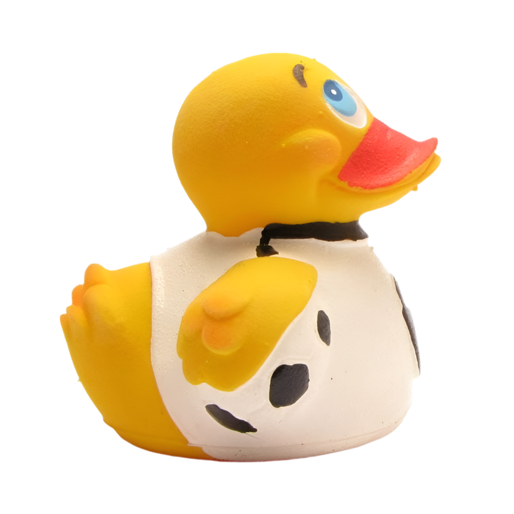 Canard Footballeur