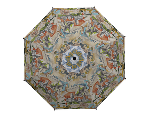 Regenschirm Automatique Harry Potter - Château