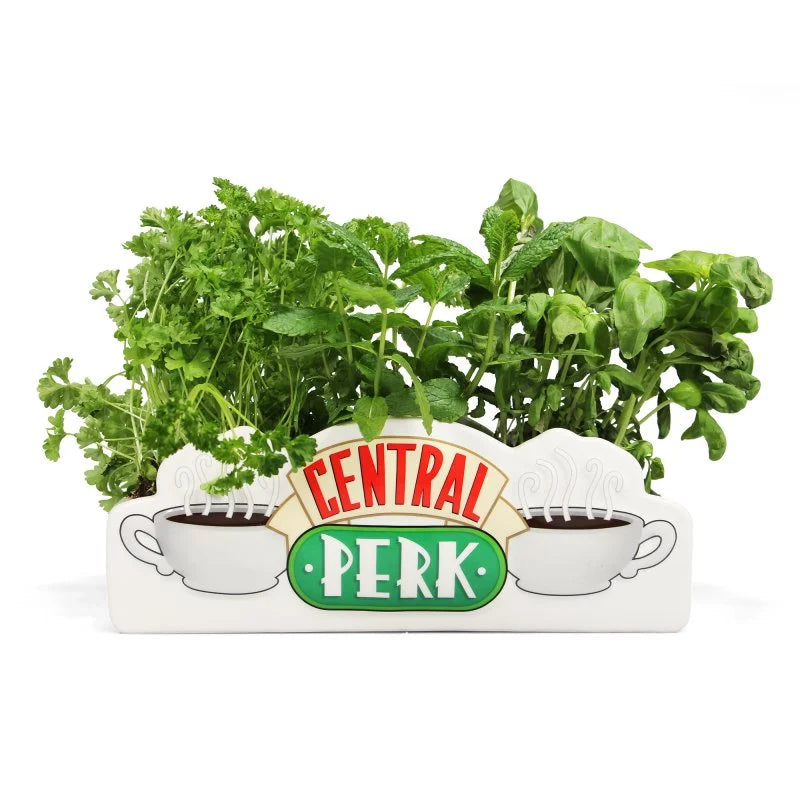 Freunde Blumentopf - Central Perk