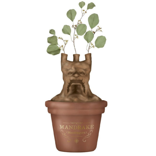 Vase Mandragore