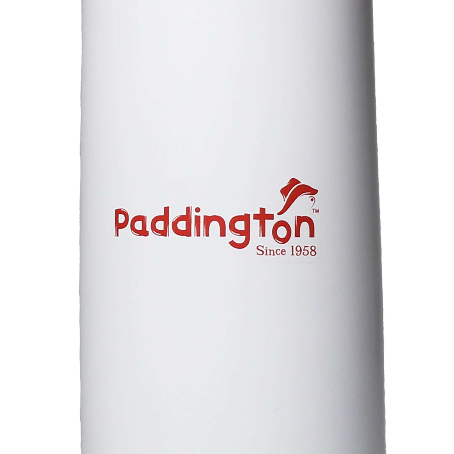 Bouteille isotherme métal Paddington - Adventure 350 ml