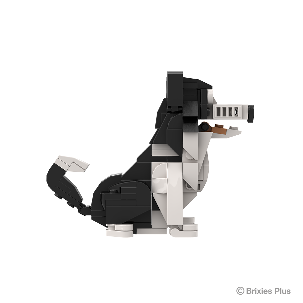 BRIXIES Plus  Farmbuddies Border Collie