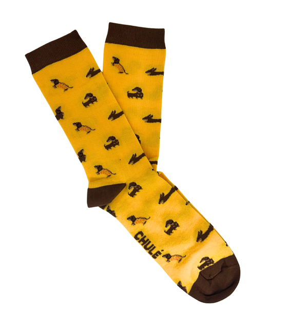 Chaussettes « Kiko – Chien Teckel » - Chulé