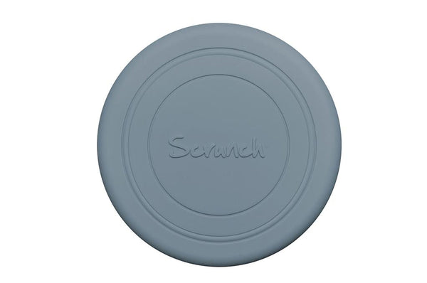 Duck blue frisbee
