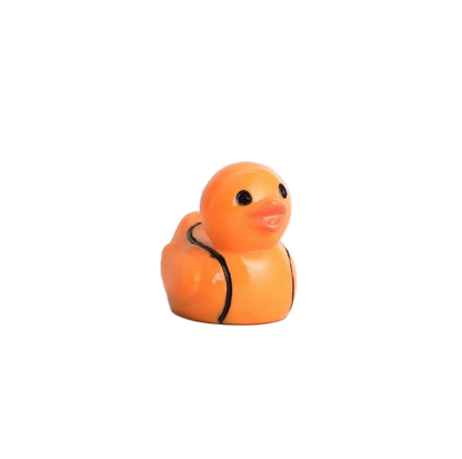 Mini Sporty Ducks