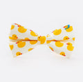 Nœud Papillon Canard