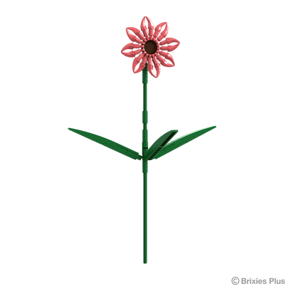 BRIXIES Plus Flowers Gerbera
