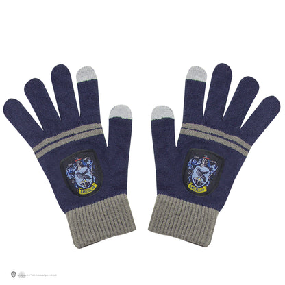 Adults' Deluxe Ravenclaw Complete Costume