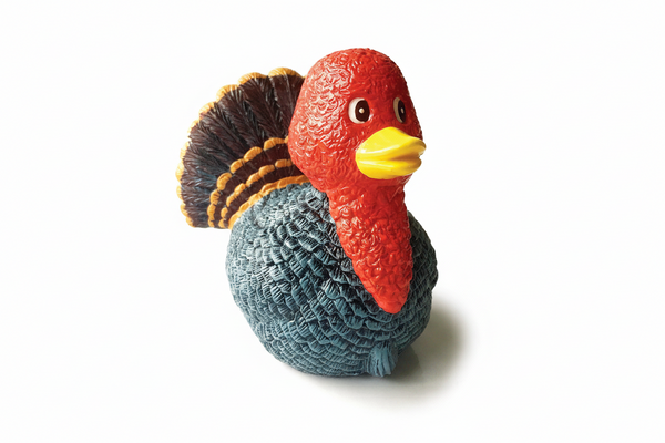 Duck turkey