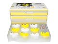 Enten-Lichterkette Original