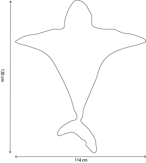 Déguisement enfant Requin