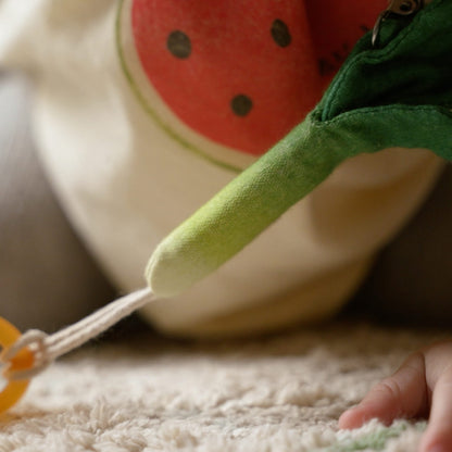 Fresh & Funky Pacifier Clips Set