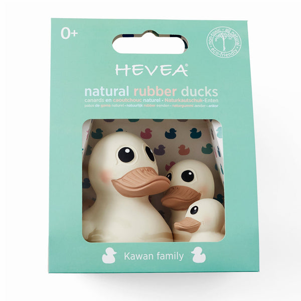 Kawan Duck White Family