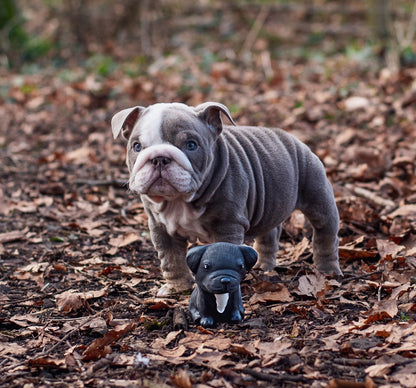 Breed Collection Kauspielzeug für Hunde – HEVEA