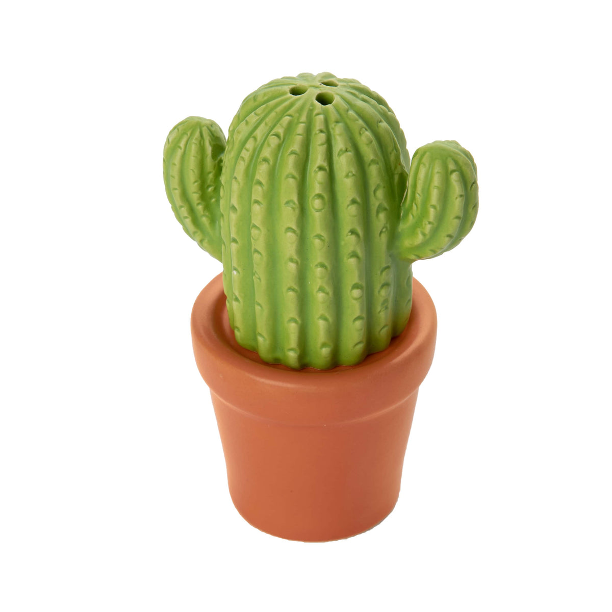 Salière et poivrière Cactus – Fisura