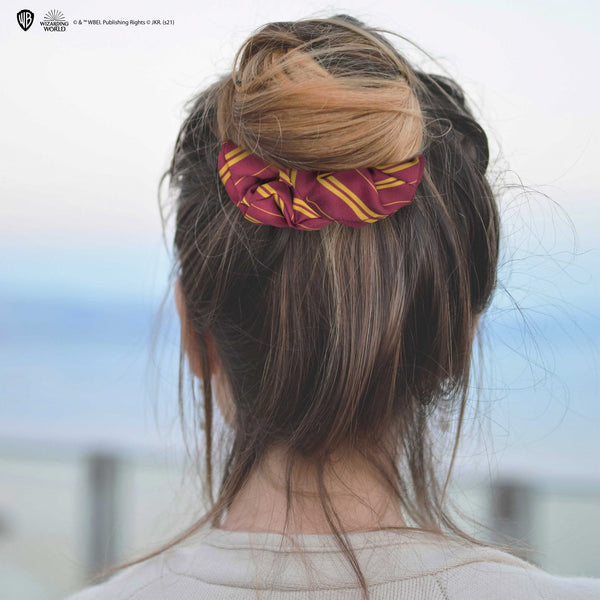 Set de 2 Accessoires Cheveux Gryffondor Classique
