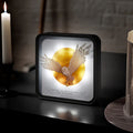 Harry Potter 3D-Lampe – Hedwig