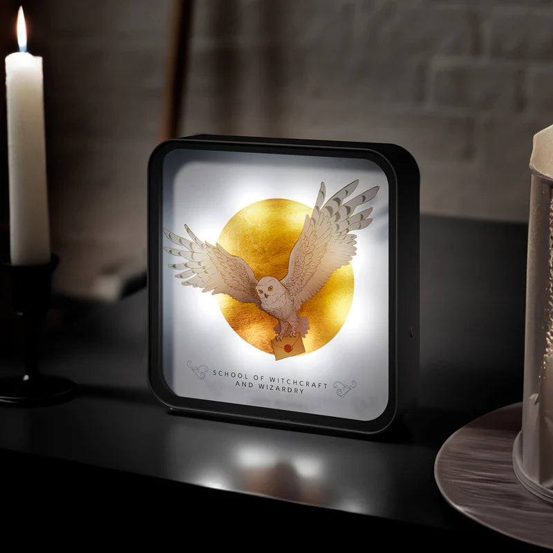 Lampe 3D Harry Potter - Hedwige