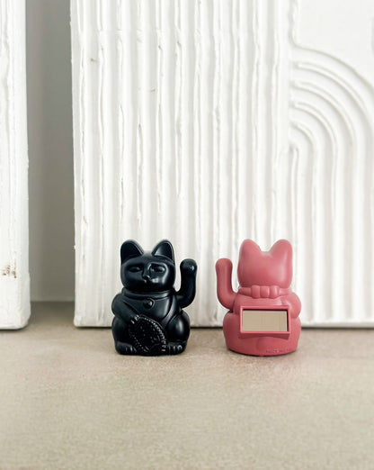 Aiko Lucky Solar Red Berry Cat