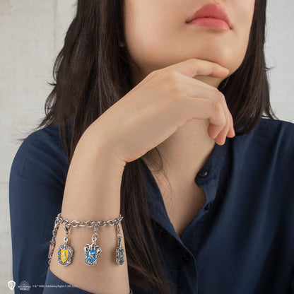 Set of 2 Ravenclaw charms
