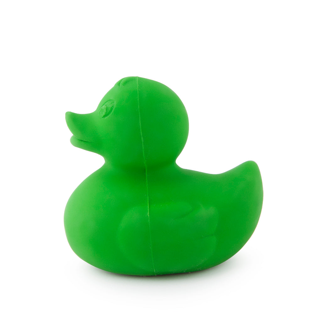 Elvis l'anatra verde