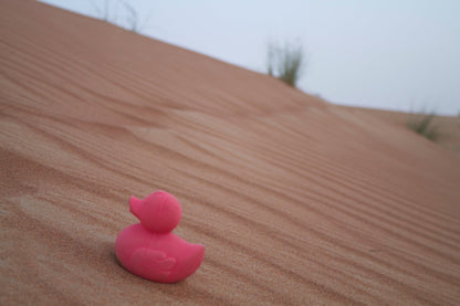 Elvis Le Canard Rose