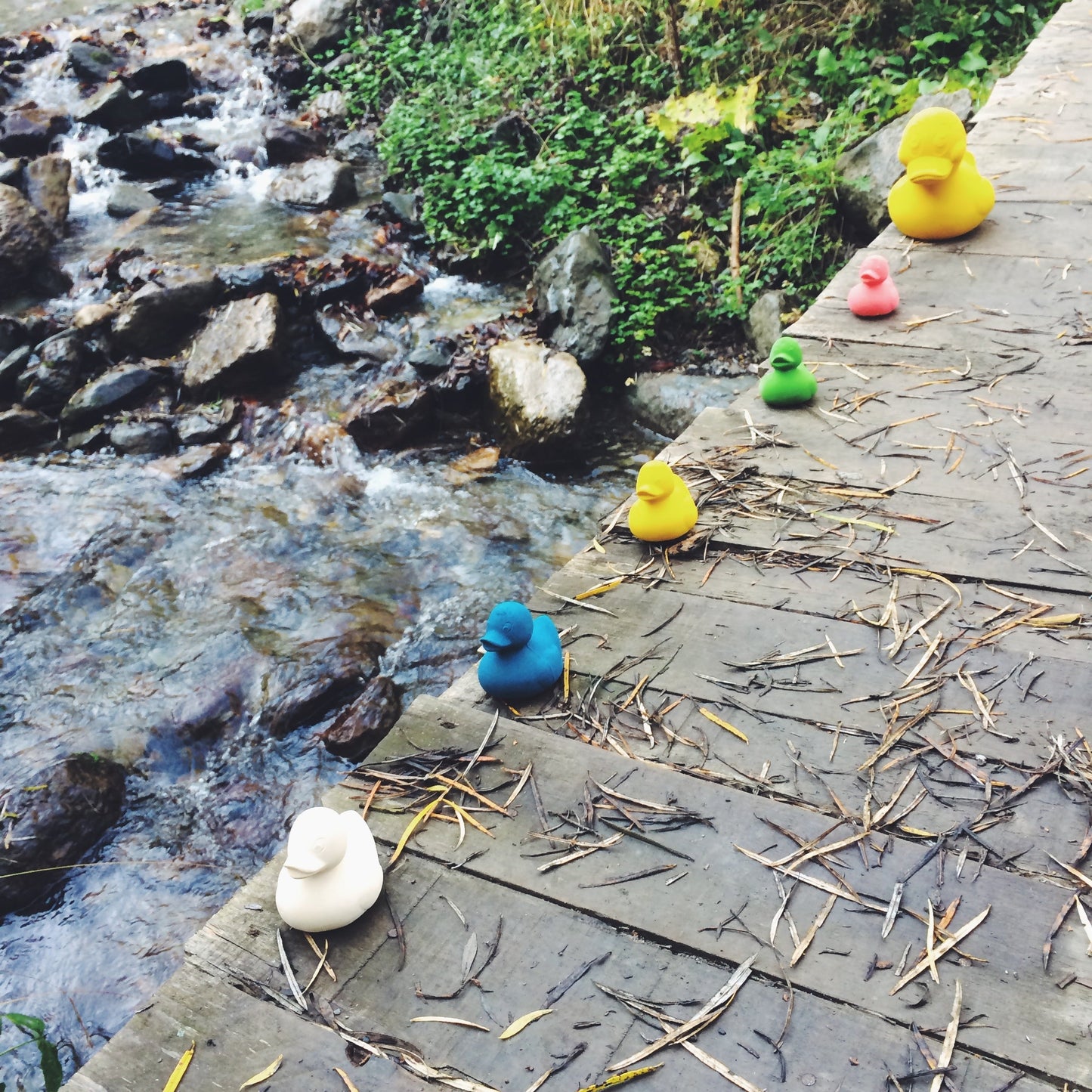 Elvis Le Canard Jaune