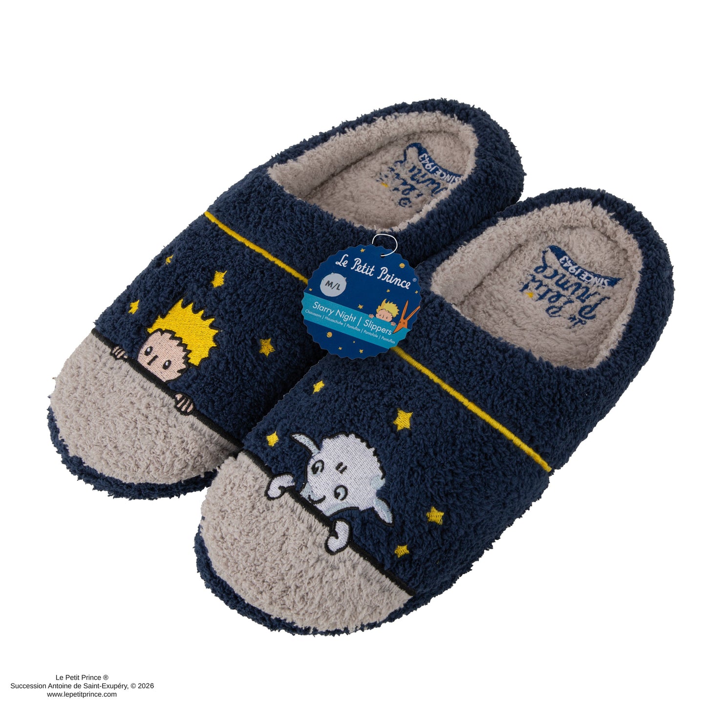Starry Night Slippers