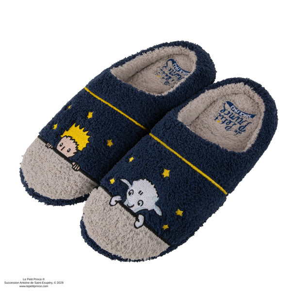Starry Night Slippers