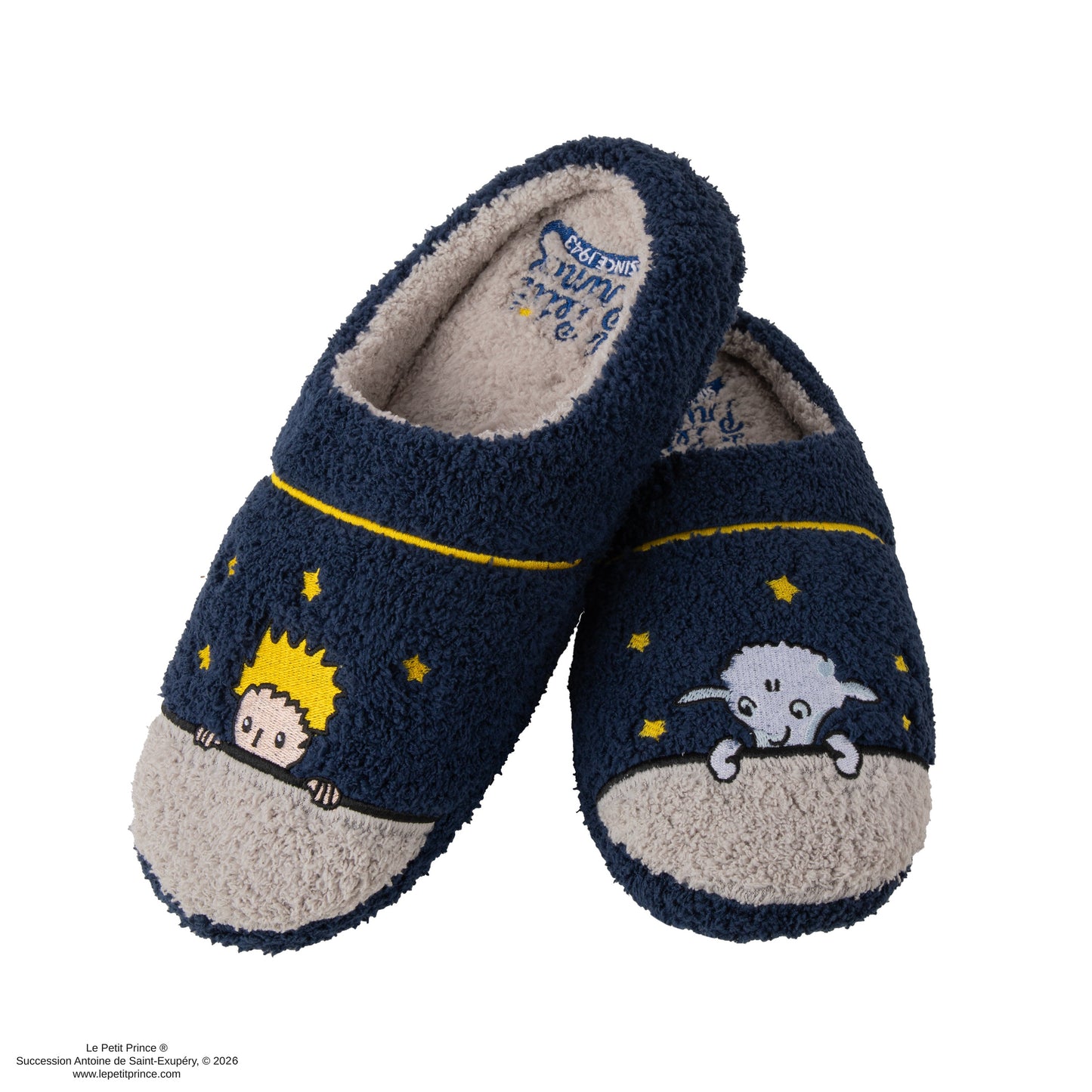 Starry Night Slippers